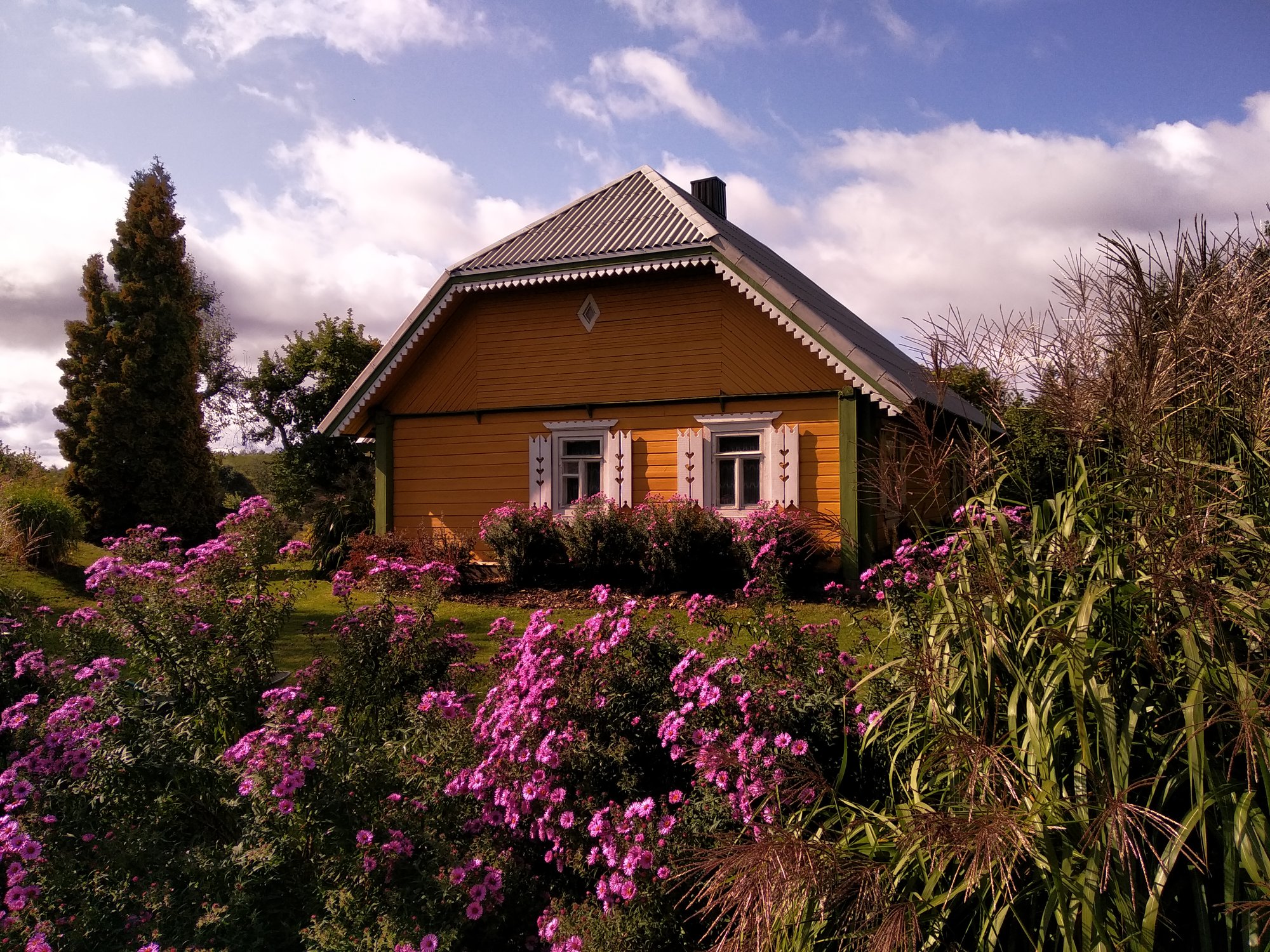 The log farmhouse of Kačiūniškių kaimo sodyba with flowerbeds